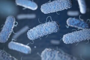 Salmonella and Candida infections and gut microbiota