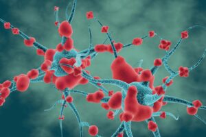 Gut microbiota bacteria linked with multiple sclerosis
