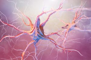 Neurons: dysbiosis involved in epilepsy drug-resistance