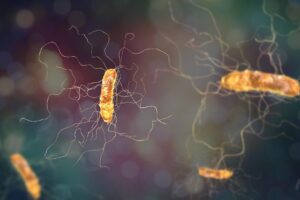 More evidence that fecal transplants are safe and effective against Clostridium difficile infection