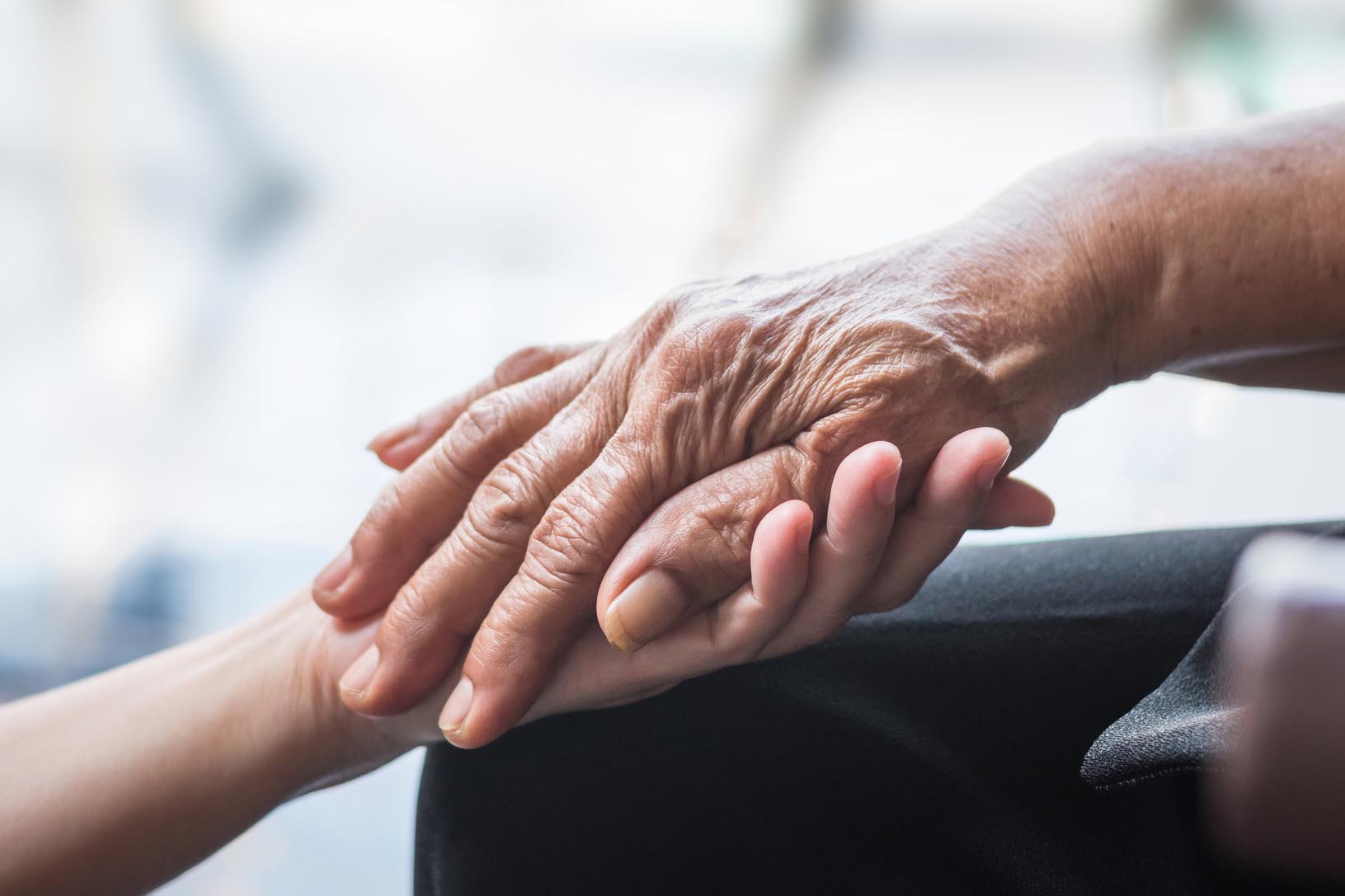 Gut microbiota and aging: state of the art of research