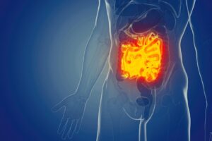 Study shows how irritable bowel diseases disrupt the gut microbiota