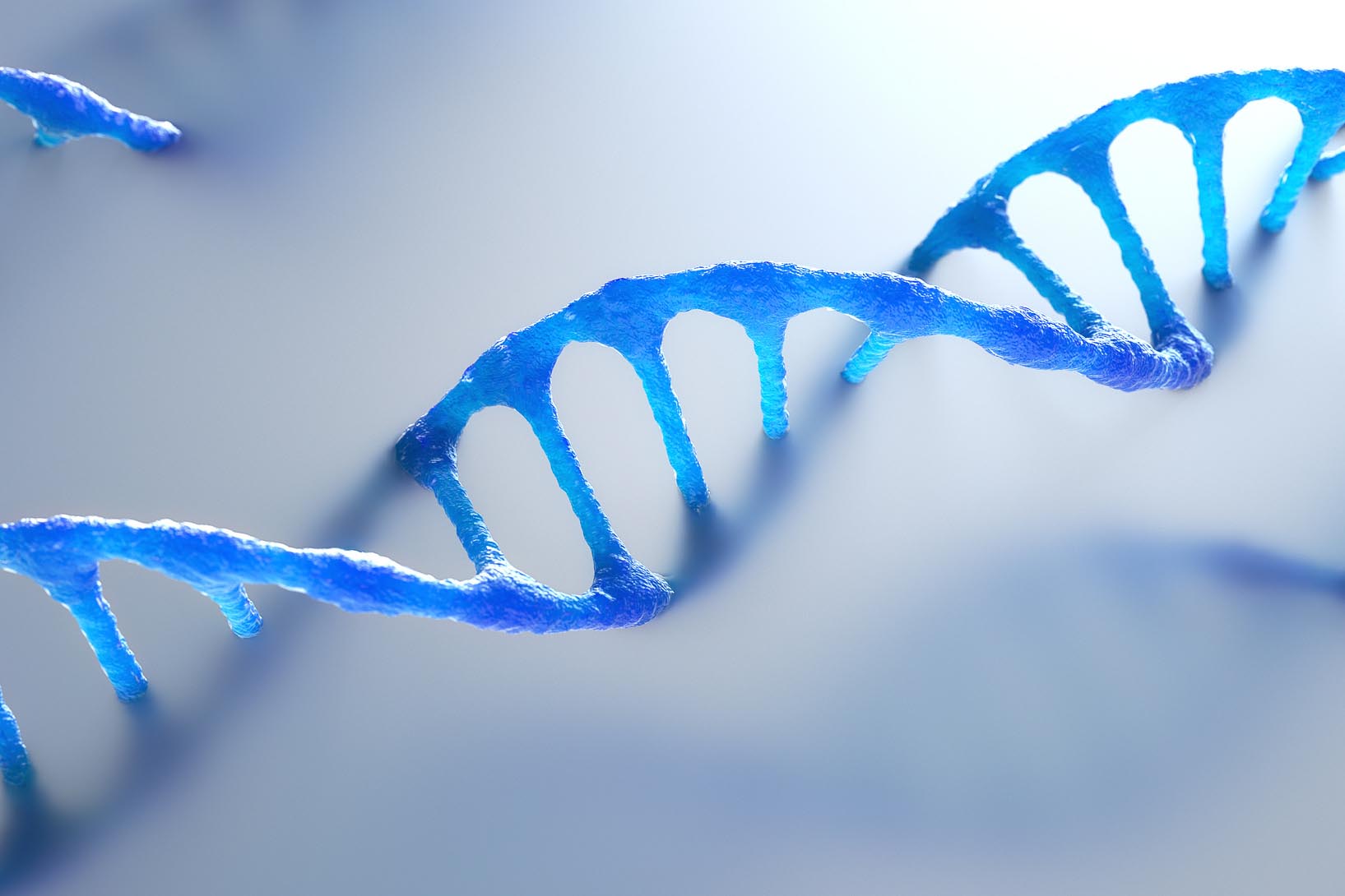 Stool transplants extend life in mice that age prematurely