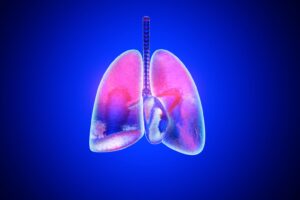 The effects of the microbiota on lung health and disease