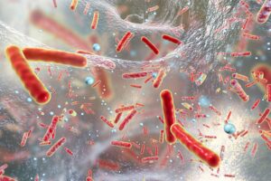 A molecule produced by the human gut could help to fight superbugs
