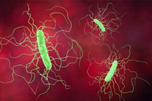 Fecal microbiota transplant successfully treat patients with C. diff, UK’s largest survey finds