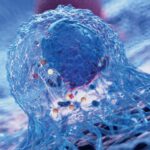 From Biofarma Group a probiotic therapy as an adjuvant to cancer immunotherapy