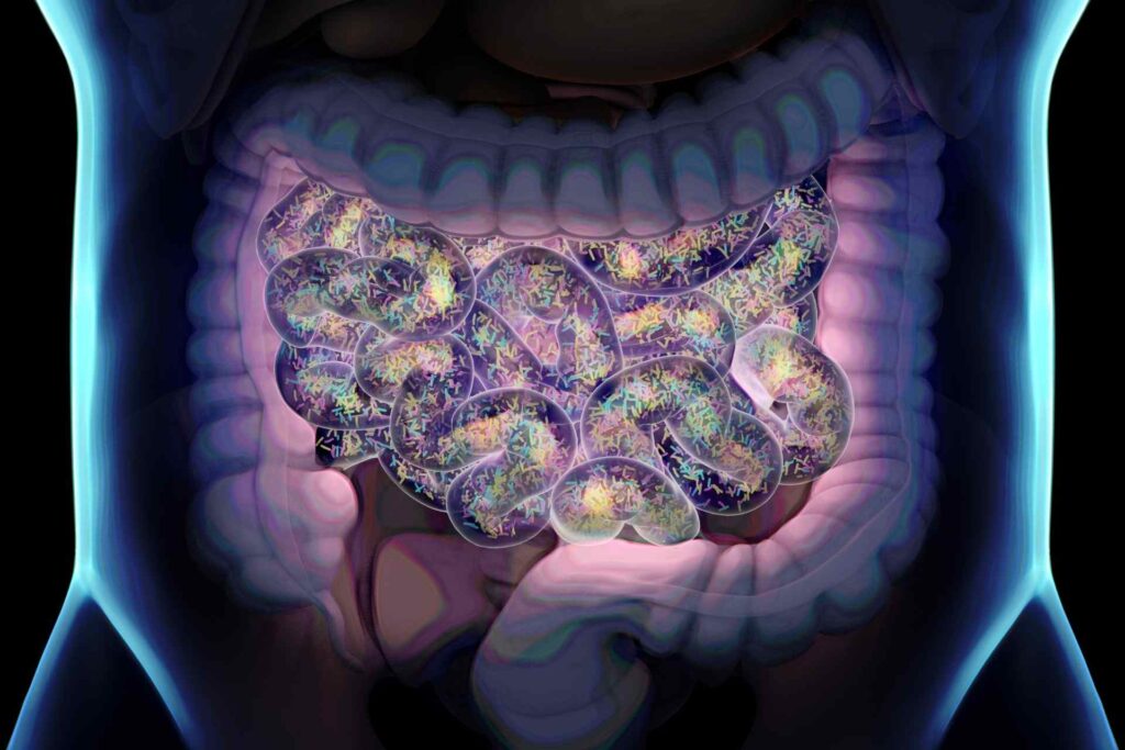 Antibiotic-producing gut microbes might raise infection risk