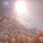 Postbiotics: the story, the evidences, the ingredient