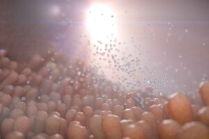 Postbiotics: the story, the evidences, the ingredient