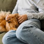 Owning a dog may boost teens’ social skills and mental health through the microbiota