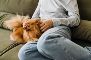 Owning a dog may boost teens’ social skills and mental health through the microbiota