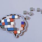 Microbiota and memory: in ageing mice, Parabacteroides goldsteinii weakens the gut–brain axis