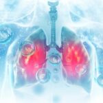 Specific gut microbes protect mice from deadly bacterial infections after flu