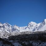 Gut bacteria may be linked to low sperm quality at high altitudes