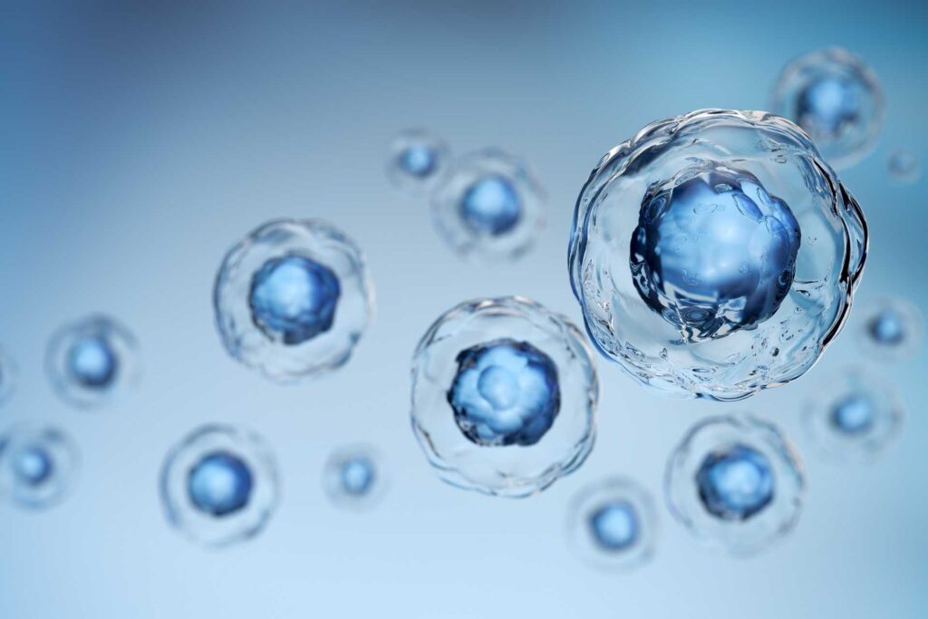 Stem-like cells in the gut sense commensal bacteria to recruit protective immune cells