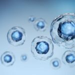 Stem-like cells in the gut sense commensal bacteria to recruit protective immune cells