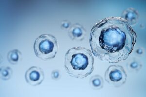 Stem-like cells in the gut sense commensal bacteria to recruit protective immune cells