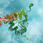 Gut protein blocks harmful bacteria and protects intestinal health