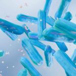 Hidden gut bacteria may be key to a healthy microbiota