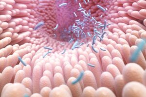 Microbiota differences might shape responses to viral infections