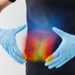 High sugar may promote severe fatty liver disease through gut bacteria