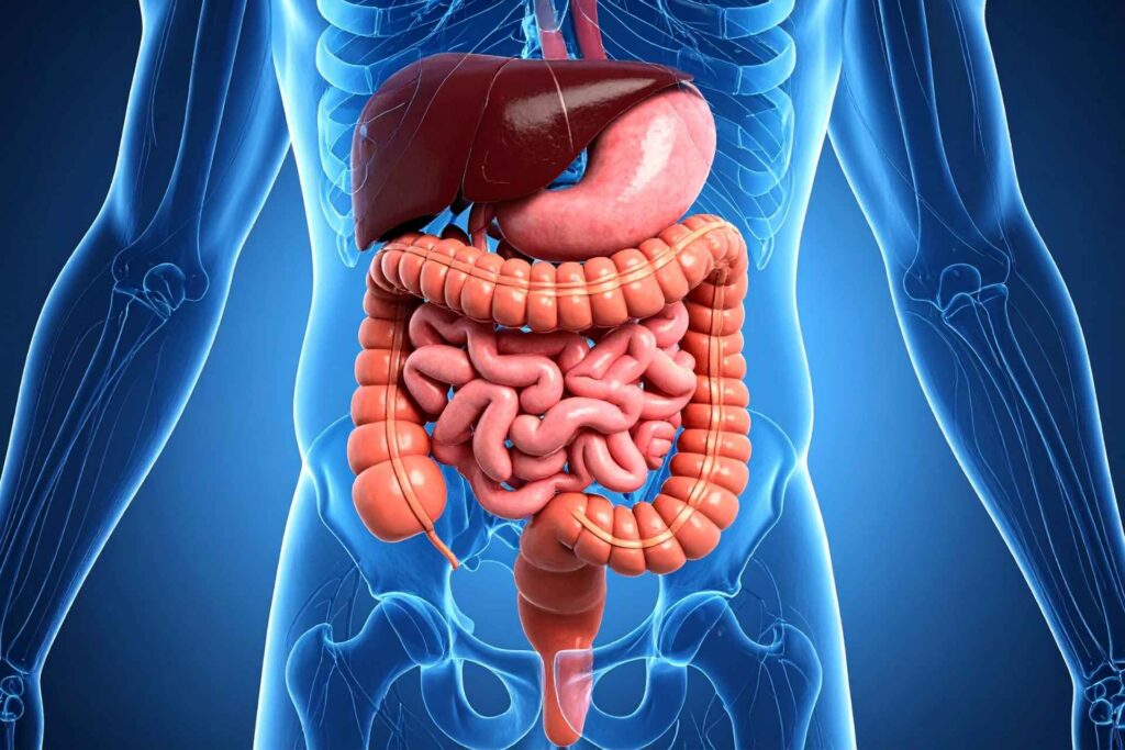 Gut bacterium triggers immune cells to kill colorectal tumors