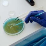 Gloved hand, Petri dish