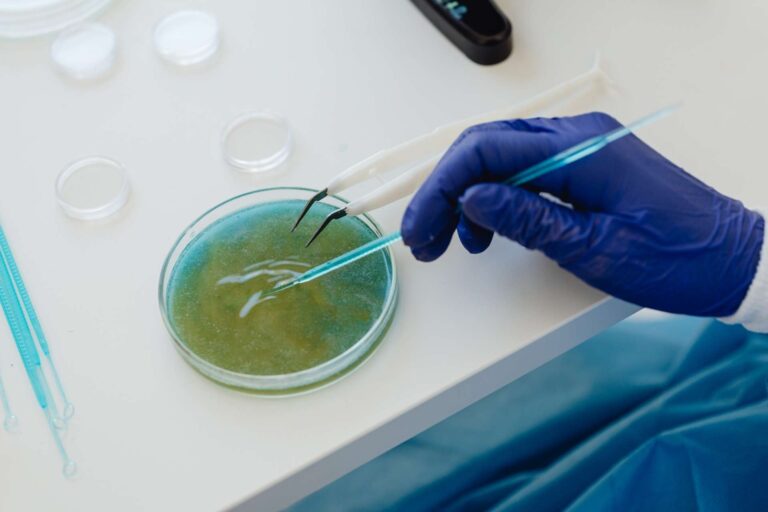 Gloved hand, Petri dish