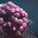 Tumor microbiota differences between men and women offer clues to cancer outcomes