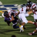 Head impacts in football may be linked to gut microbiota changes