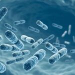Microbes fine-tune their protein production to make communities more efficient