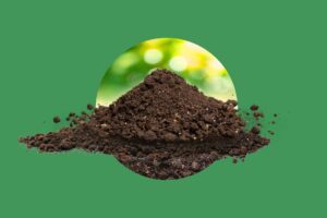 Health has a source. You were never told