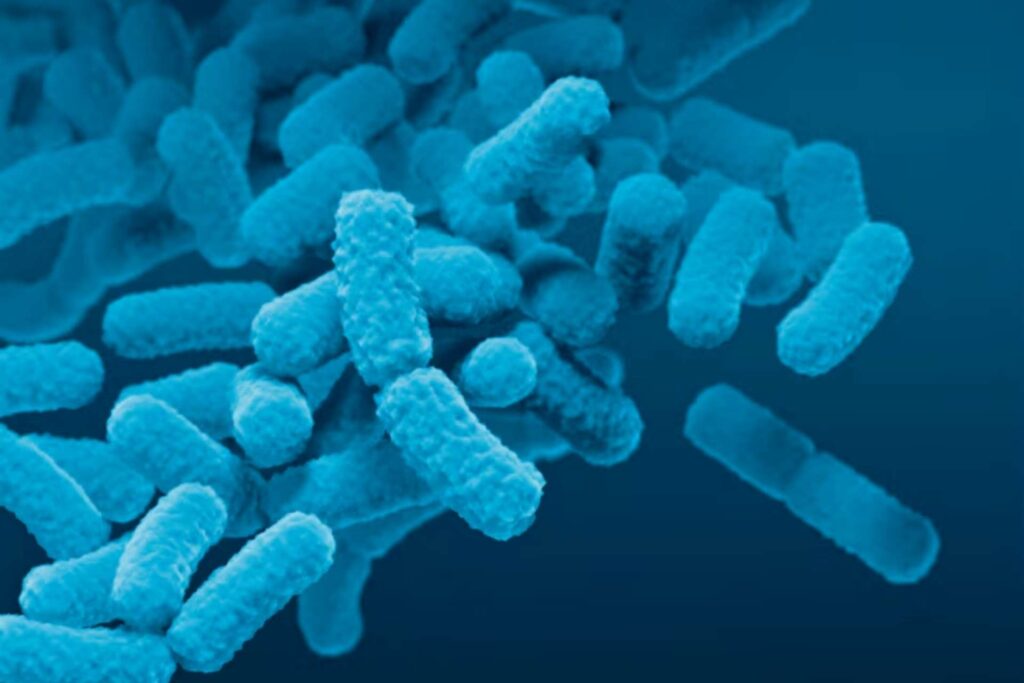 Colon-targeted vitamin B2: how delivery technology could reshape the biotics market