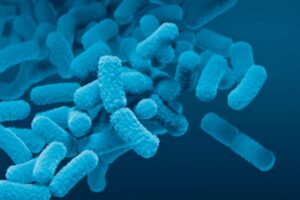 Colon-targeted vitamin B2: how delivery technology could reshape the biotics market