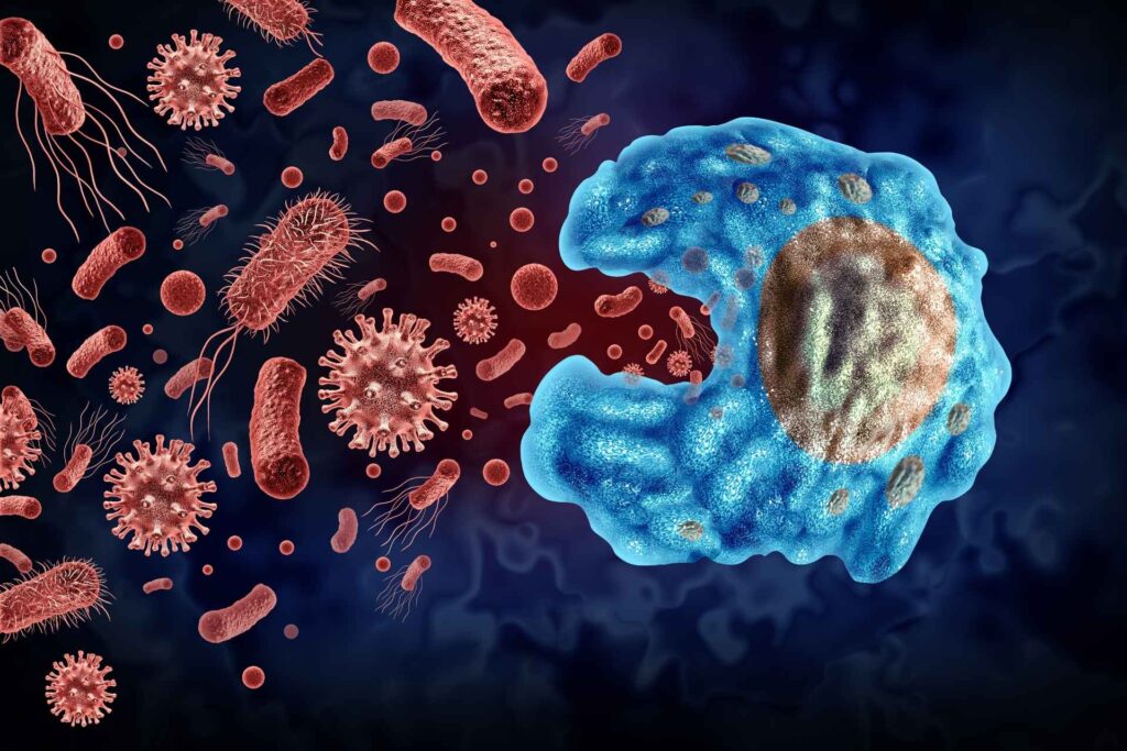 Tumor microbiotas may be less common than previously thought