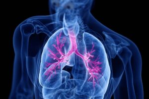 Microbe-sensing immune receptor may help protect against lung fibrosis