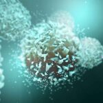Gut microbes help vitamin A build early gut immunity, mouse study shows
